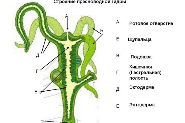 Кракен сайт 14