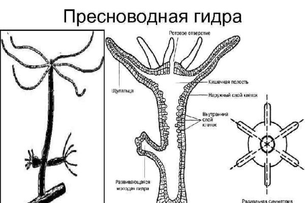 Актуальные ссылки на кракен тор