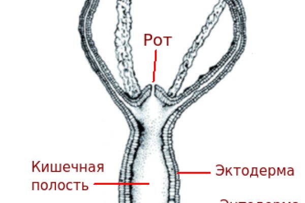 Кракен интернет