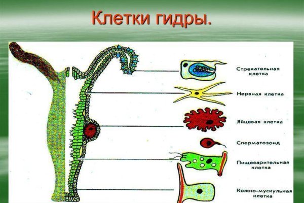 Маркетплейс кракен kraken