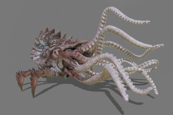Kraken ссылки актуальные 2025 г
