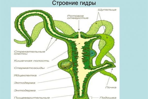 Кракен рынок сайт