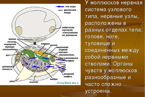 Dark net официальный сайт